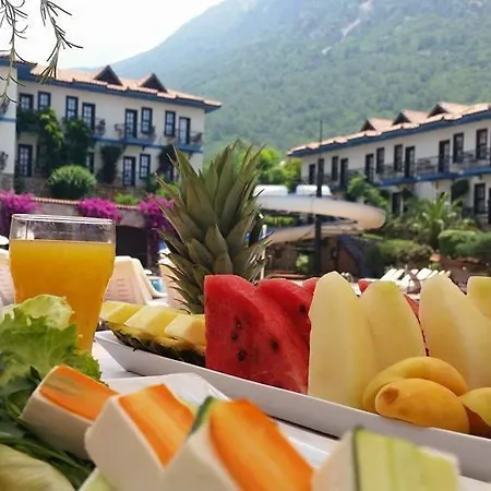 Anatolia Club 4* 올루데니스