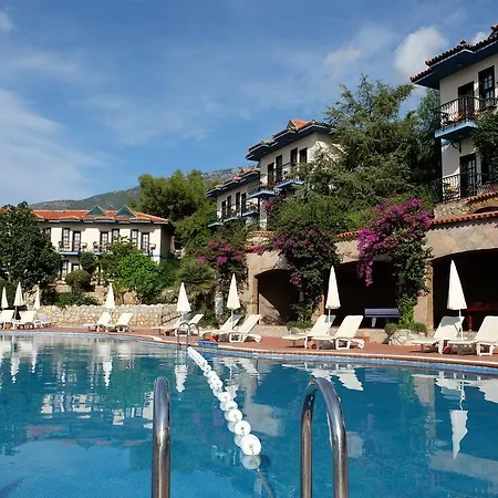 Anatolia Club 4* 올루데니스